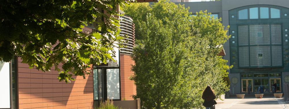 Student walks in front of buildings near Shields Library on a sunny day.
